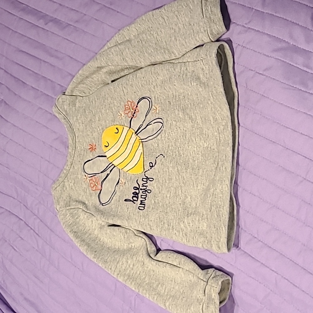 Gymboree Girl's Long sleeve Tee Blouse Shirt Gray Grey